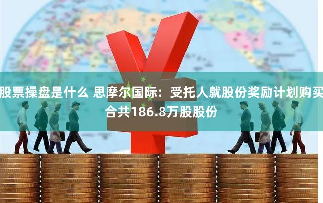 股票操盘是什么 思摩尔国际：受托人就股份奖励计划购买合共186.8万股股份