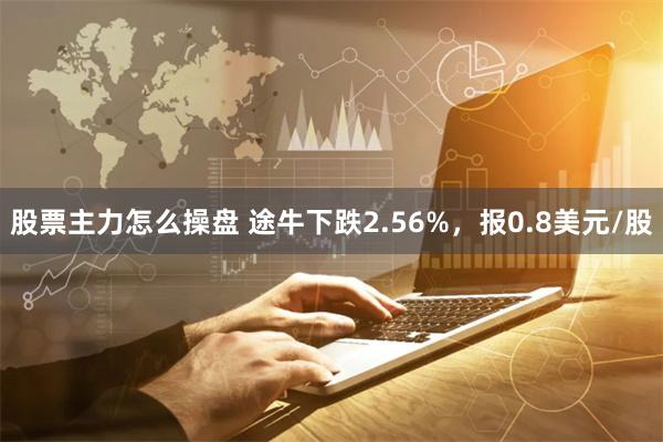 股票主力怎么操盘 途牛下跌2.56%，报0.8美元/股