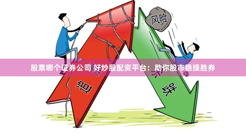 股票哪个证券公司 好炒股配资平台：助你股市稳操胜券